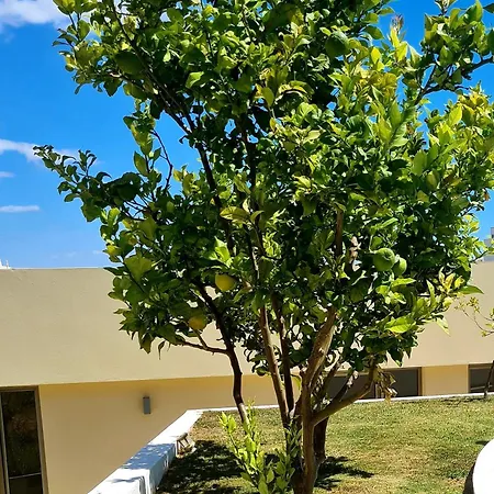 Hostel Supremo Armação de Pêra